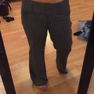 Express editor dress pants